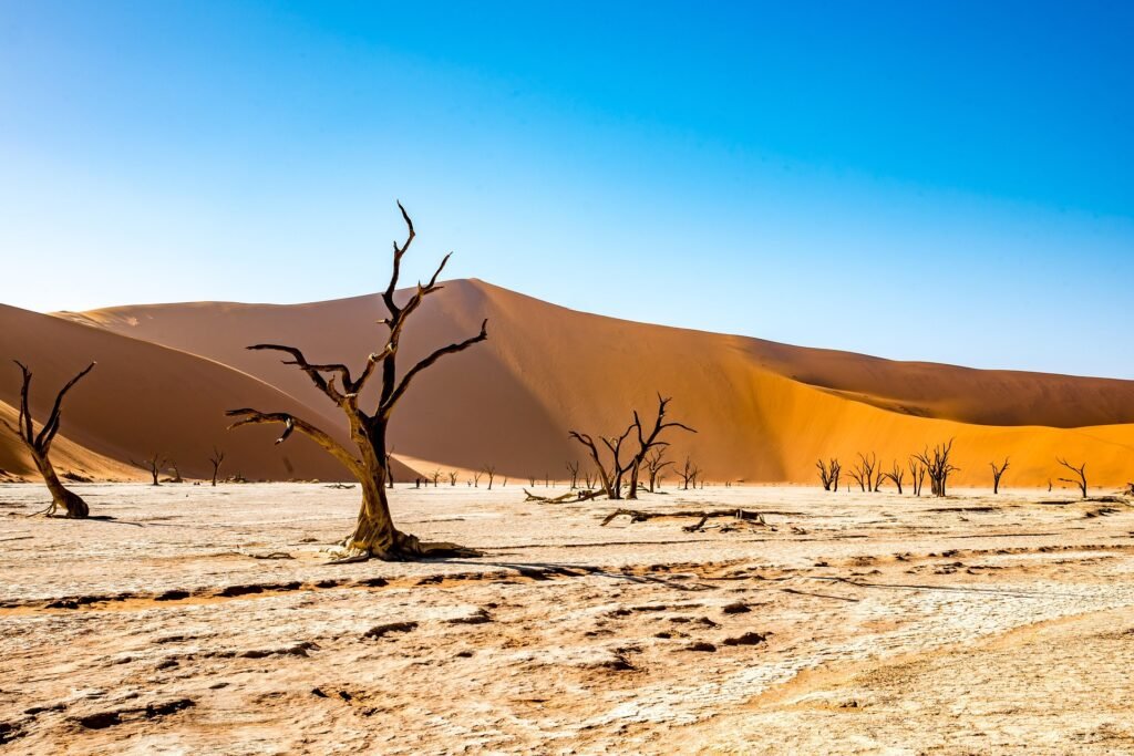 Désert du namib en namibie lors d'un voyage avec Studio Voyages Travel designer