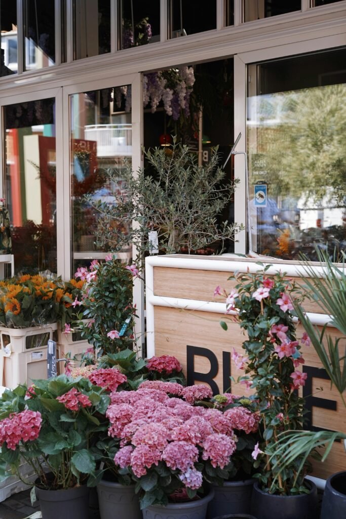 Visiter Amsterdam comme une locale selon les saisons : quand la ville change de visage