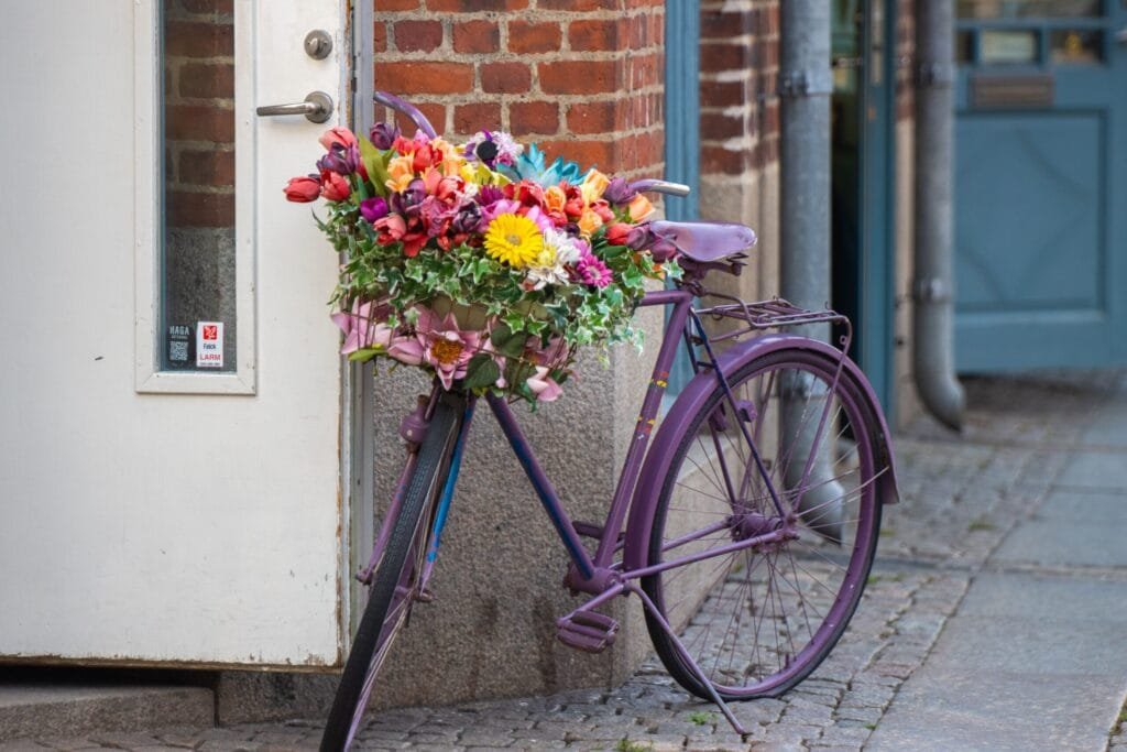 vélo fleuri au printemps en hollande pour un voyage avec studio voyages